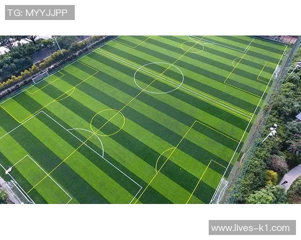 真草足球场建设成本分析及影响因素探讨