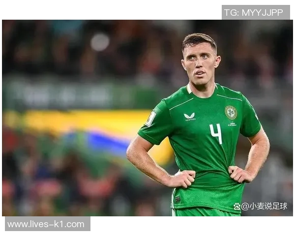 爱尔兰足球国家队的崛起之路与未来发展展望